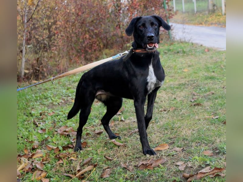 Xena: Ideal für Familien