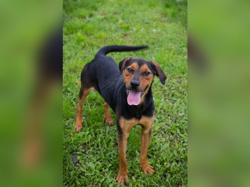 Rico – Findet der kleine Sausewind bei dir seinen Platz?