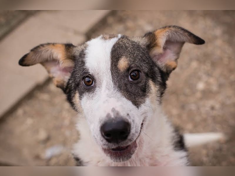 Jim: Sucht ein Abenteuer