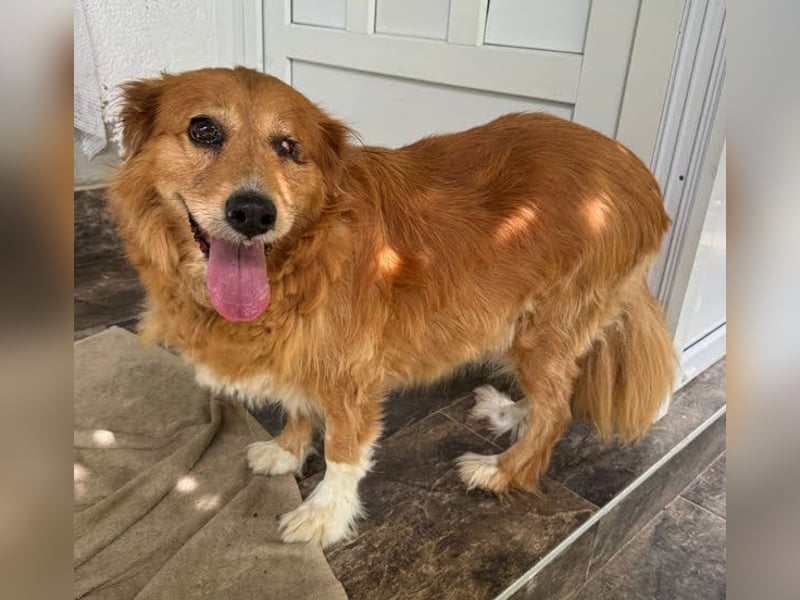 Pi: Liebevolle Seniorin