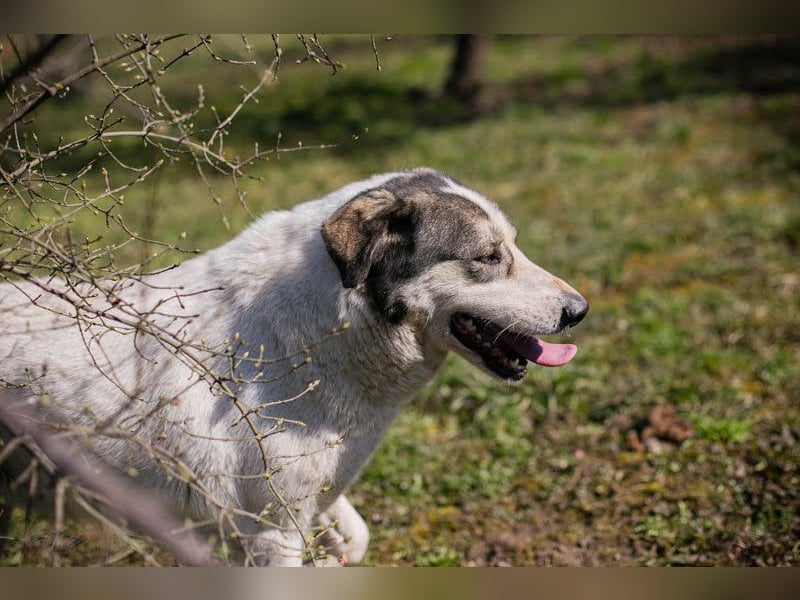 Fly: Wartet sehnsüchtig auf ihr Zuhause