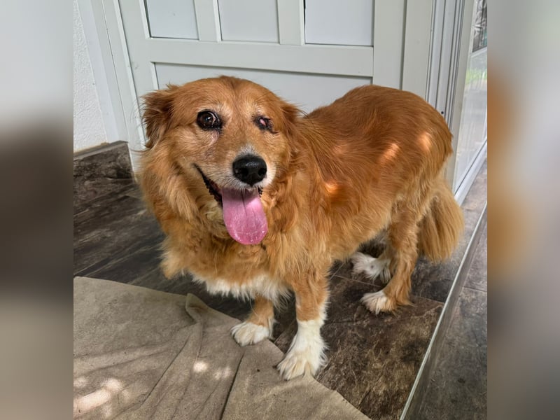 Pi: Liebevolle Seniorin