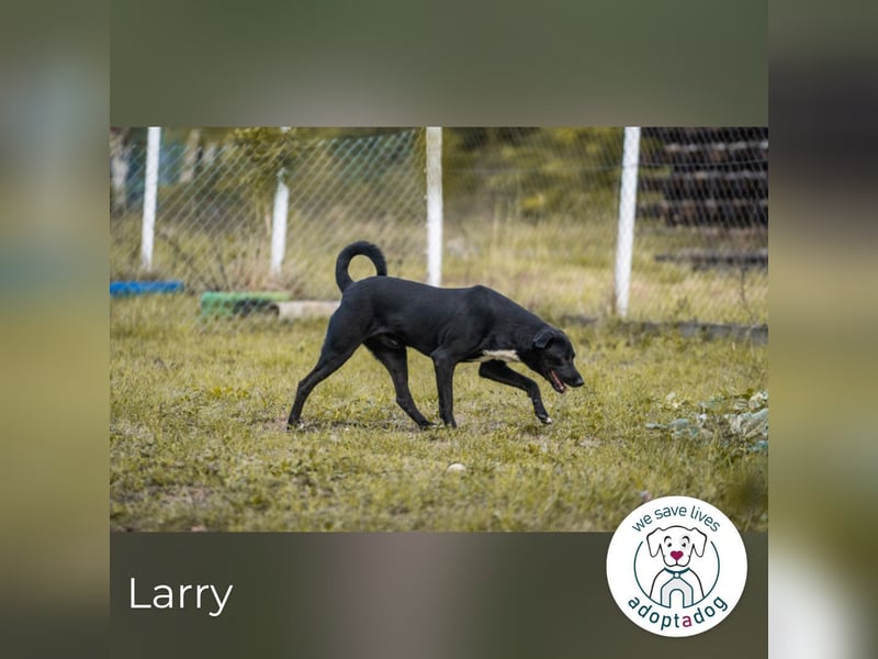 Larry: Sportskanone sucht Gleichgesinnte