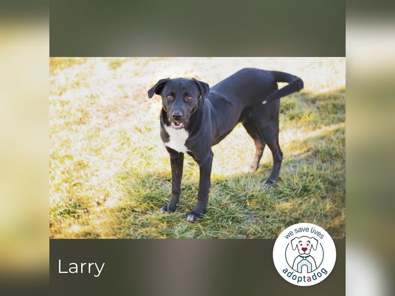 Larry: Sportskanone sucht Gleichgesinnte