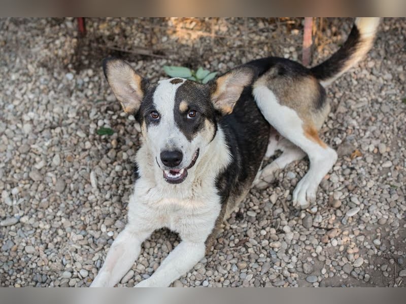 Jim: Sucht ein Abenteuer