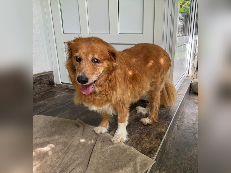 Pi: Liebevolle Seniorin