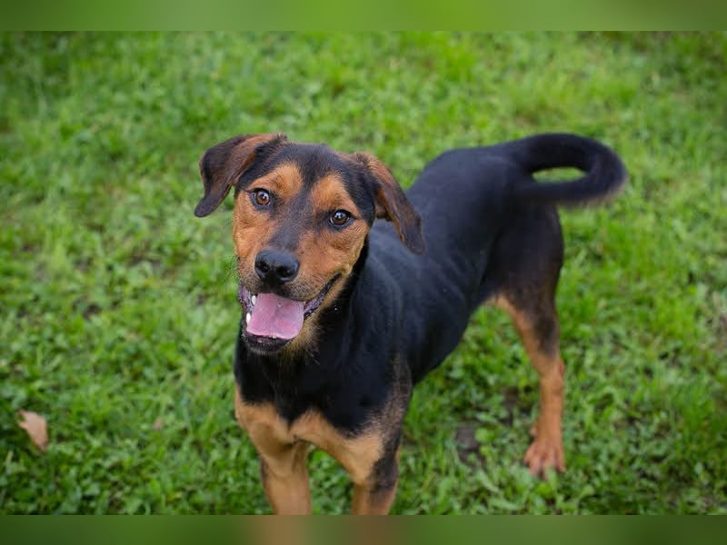 Rico – Findet der kleine Sausewind bei dir seinen Platz?