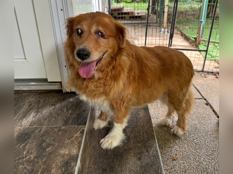 Pi: Liebevolle Seniorin