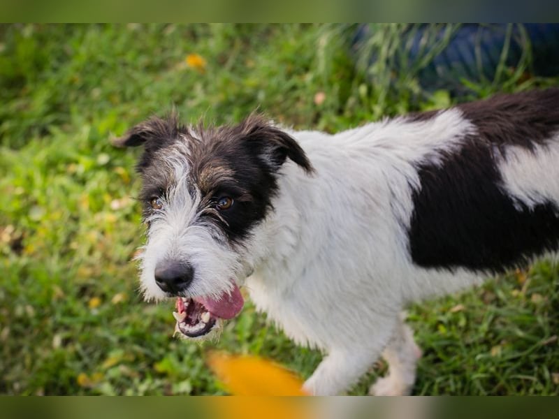 Finja: sucht ein Zuhause