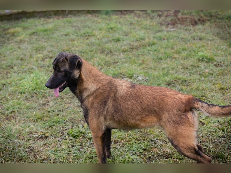 Angela sucht ein Zuhause