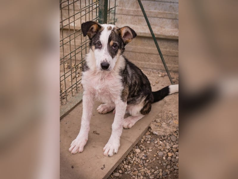 Jim: Sucht ein Abenteuer