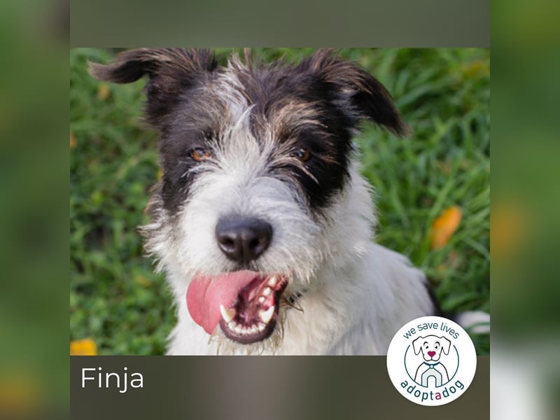 Finja: sucht ein Zuhause