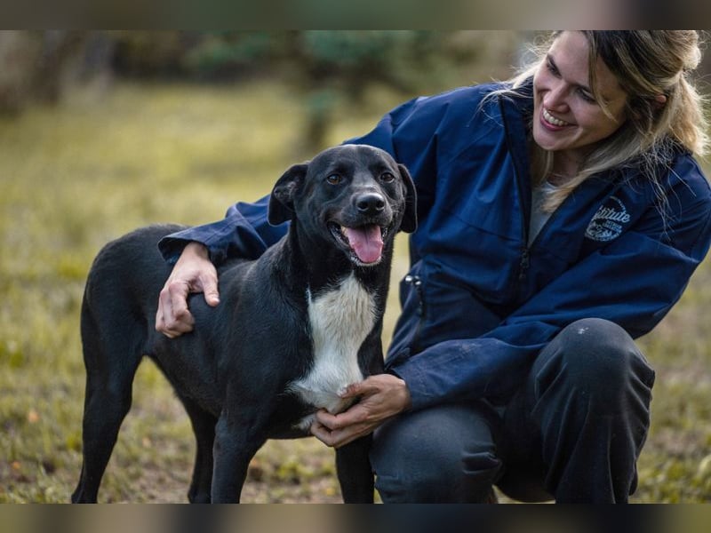 Larry: Sportskanone sucht Gleichgesinnte