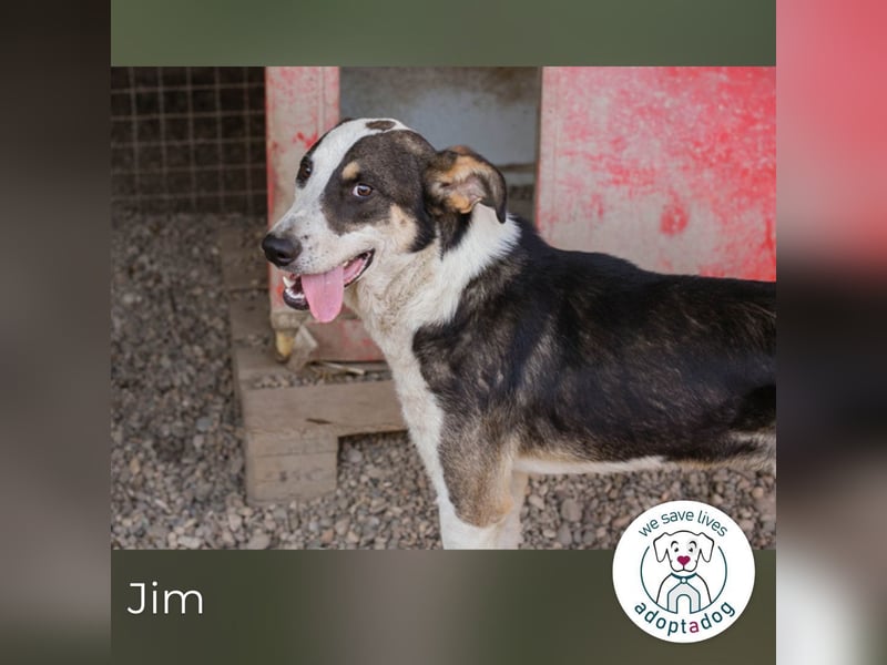 Jim: Sucht ein Abenteuer