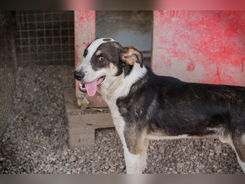 Jim: Sucht ein Abenteuer