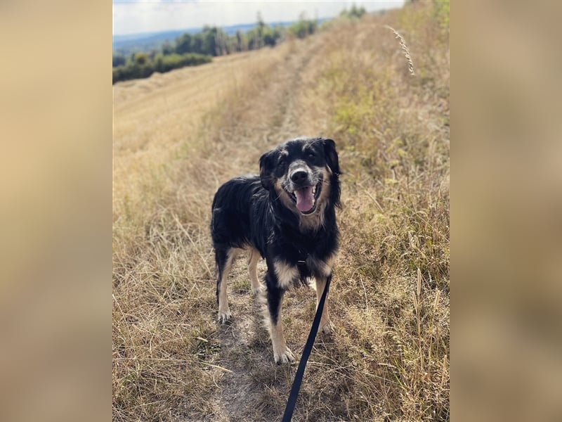 Kali - auf der Suche nach dem Glück