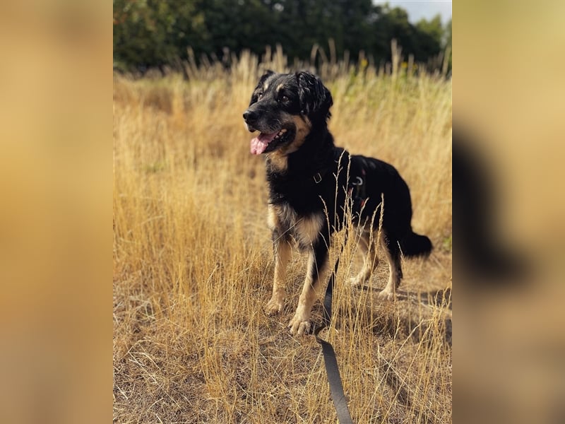 Kali - auf der Suche nach dem Glück