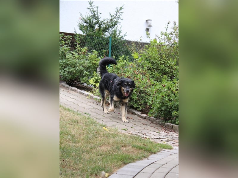 Kali - auf der Suche nach dem Glück