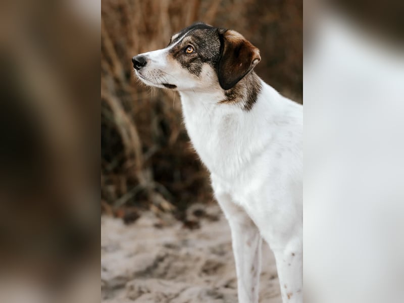 Adam - erobert schnell die Herzen