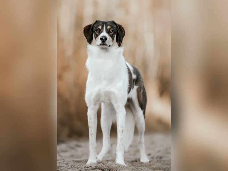 Adam - erobert schnell die Herzen