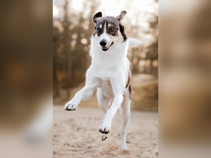 Adam - erobert schnell die Herzen