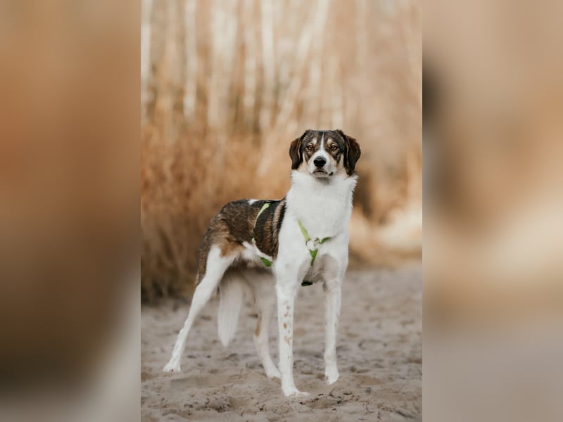 Adam - erobert schnell die Herzen