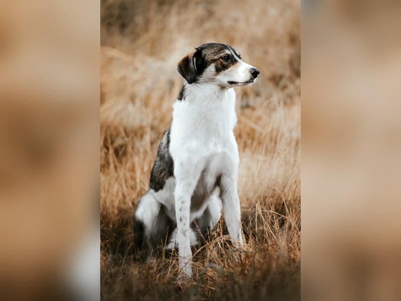 Adam - erobert schnell die Herzen