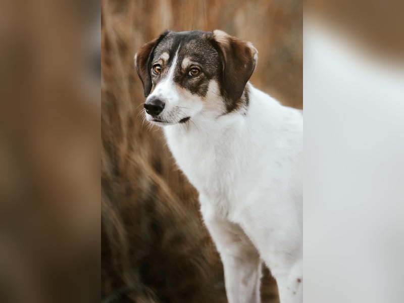 Adam - erobert schnell die Herzen