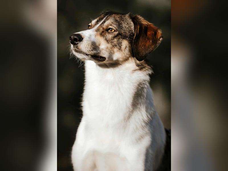 Adam - erobert schnell die Herzen