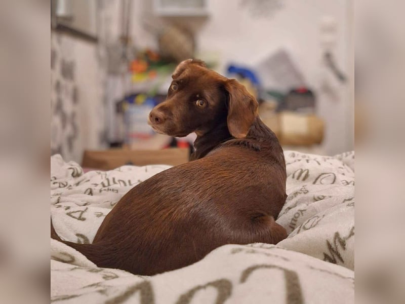 Mira- eigenständig&aktiv