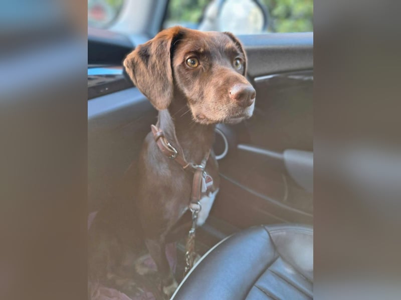 Mira- eigenständig&aktiv