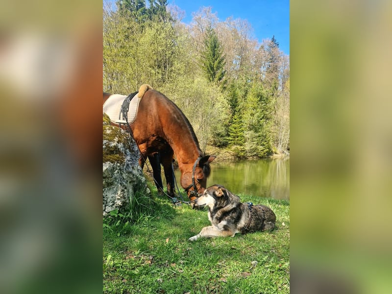 Millow - ist liebenswert