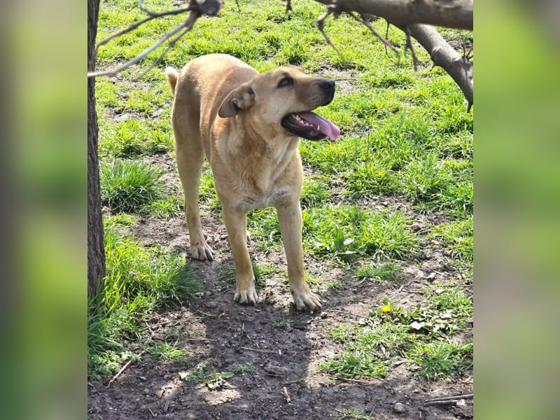 Sunny wartet aufs eigene Zuhause