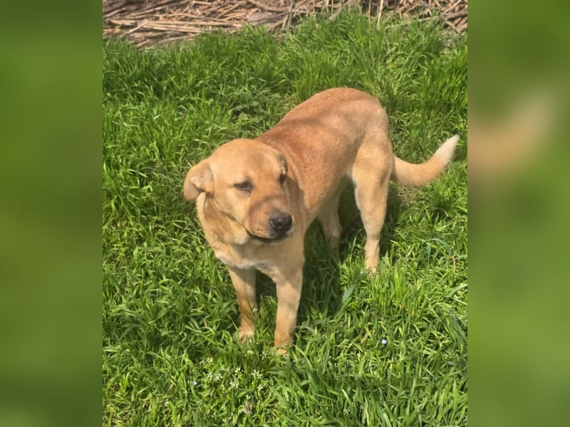 Sunny wartet aufs eigene Zuhause