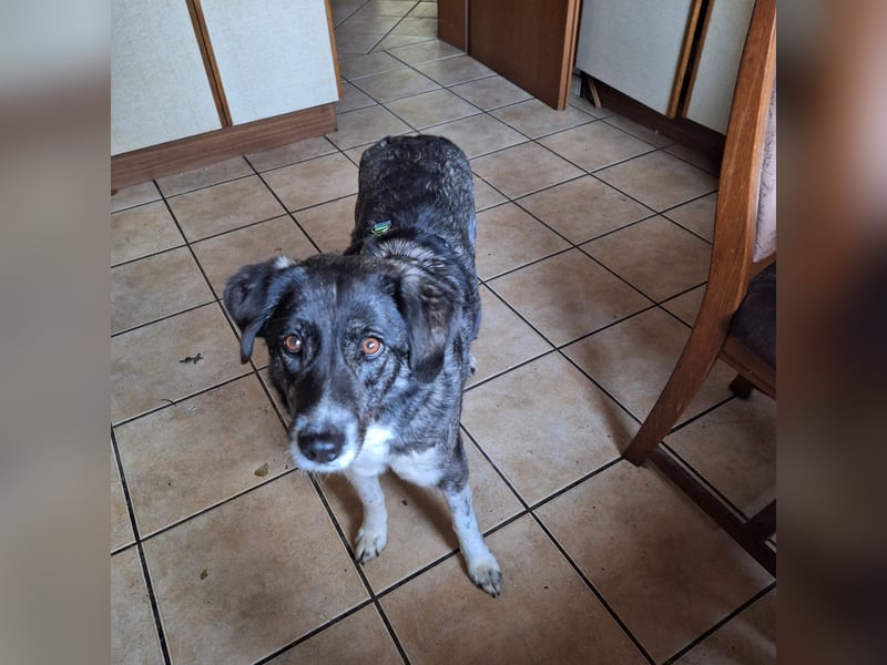 Lea sucht ihr Zuhause