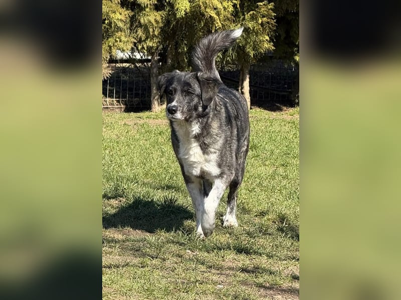 Lea sucht ihr Zuhause