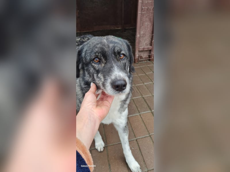 Lea sucht ihr Zuhause