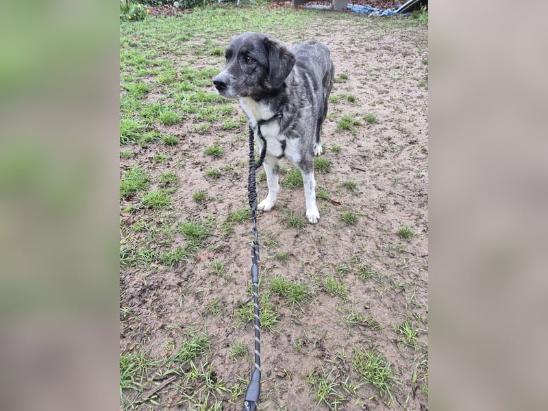 Lea sucht ihr Zuhause