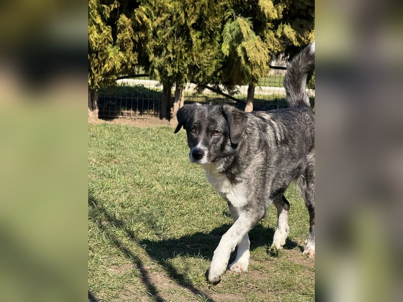 Lea sucht ihr Zuhause