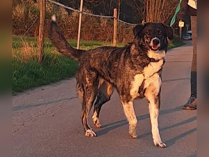 Lea sucht ihr Zuhause