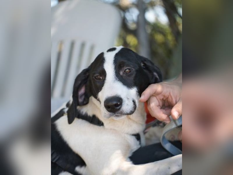 Alice- mit einem Lächeln ins Wunderland