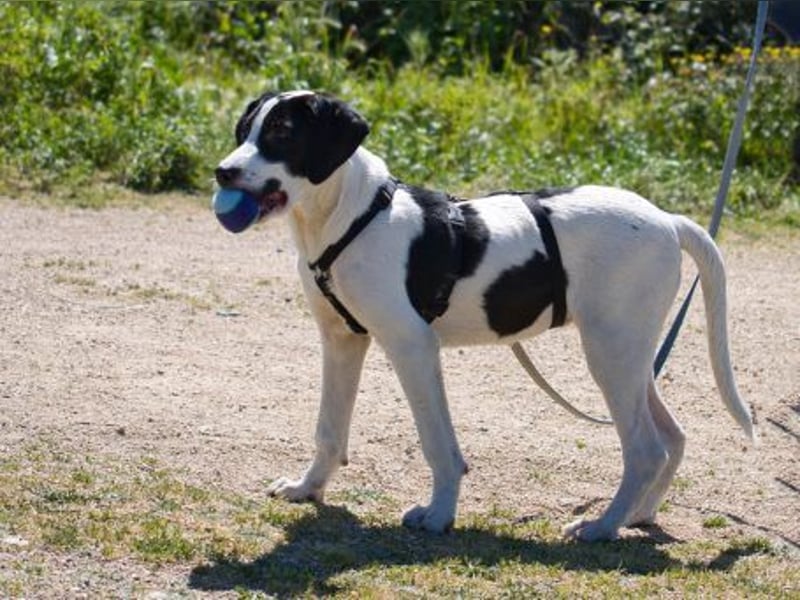 Alice- mit einem Lächeln ins Wunderland