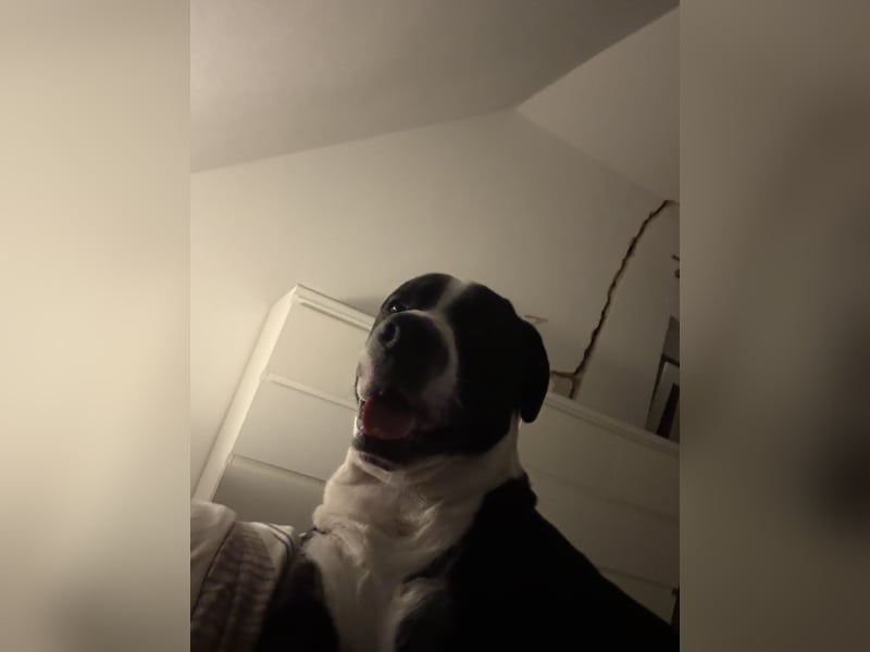 Nero 1 Jahr 6 Monate