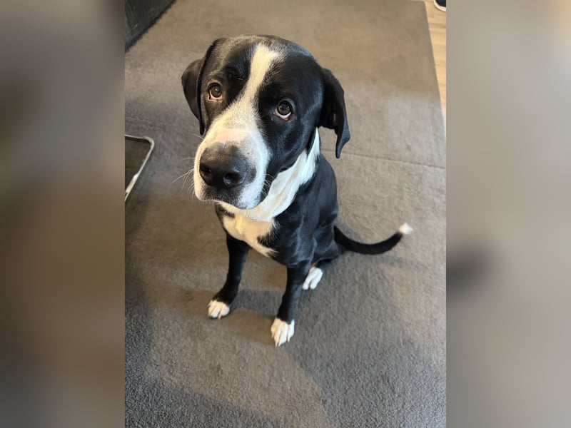 Nero 1 Jahr 6 Monate