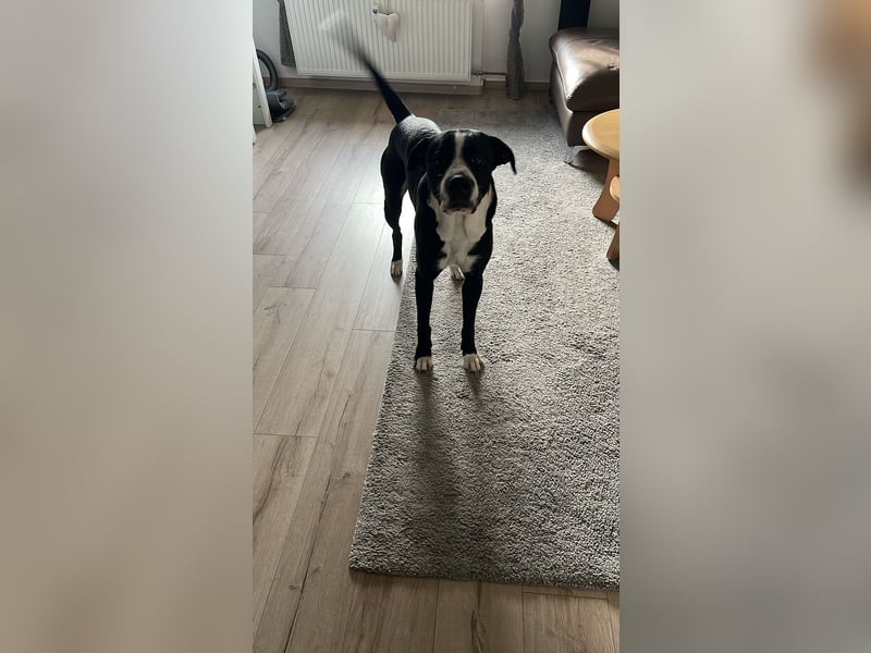 Nero 1 Jahr 6 Monate