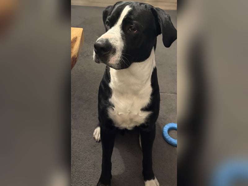 Nero 1 Jahr 6 Monate