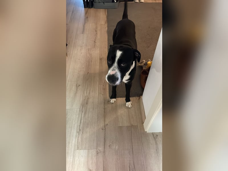 Nero 1 Jahr 6 Monate