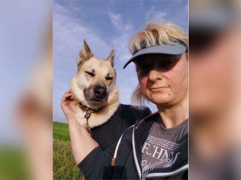 STELLA - eine liebe und eine zarte Hündin