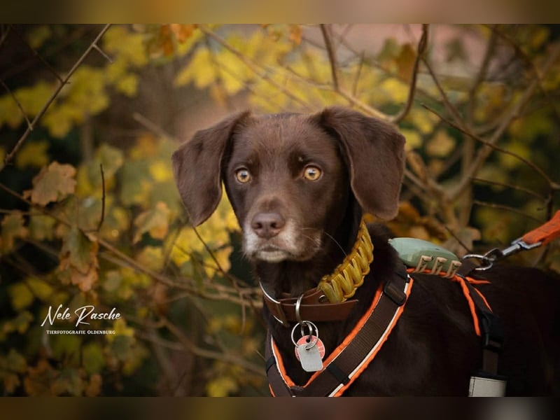 Mira - ist freiheitsliebend