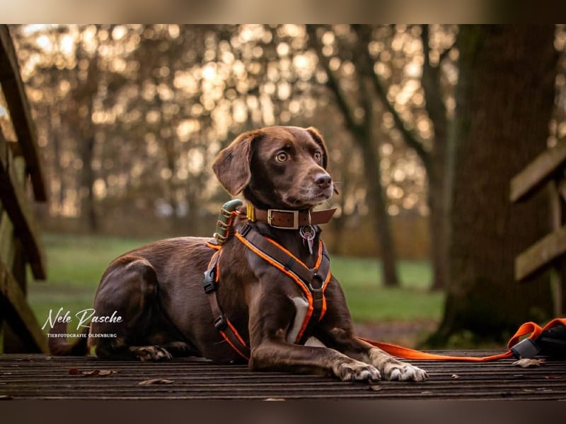 Mira - ist freiheitsliebend